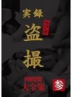 True Stories Sex Hotel Voyeur Collection 4 Hours Volume 3