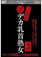裏フル勃起デカ乳首熟女3 マニアが厳選した垂涎の20名