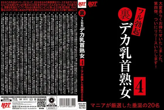 裏フル勃起デカ乳首熟女4 マニアが厳選した垂涎の20名 （DOD）