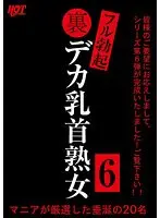 裏フル勃起デカ乳首熟女6 マニアが厳選した垂涎の20名