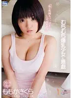 むちむち爆乳少女に悪戯 ももかさくら（2枚組）