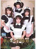 夢のメイド御殿3