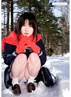 まゆみ