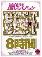 嵐を呼ぶスーパーガールBEST OF BEST8時間（2枚組）