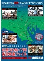 関係機関より流出！ 東京都23区全域レ●プ事件被害映像ファイル 強●罪（刑法177条3年以上20年以下の懲役）（2枚組）