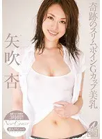New Comer 矢吹杏
