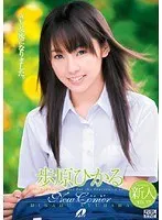 New Comer Hikaru Ayuhara