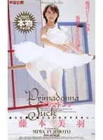 Primadonna Fuck Miwa Fujimoto