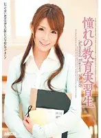 My Dream Teaching Intern