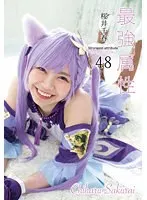 最強属性48 桜井千春