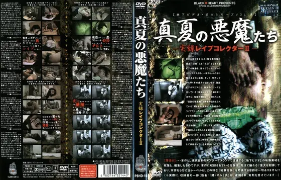Real Footage: Simulated R**e Collector 2