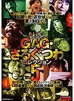 [Best Hits] Fascinating GAG/Gag Collection 5 [Outlet]