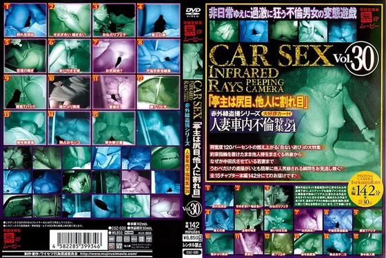 【ベストヒッツ】「赤外線盗撮シリーズ」Vol.30 CAR SEX【アウトレット】
