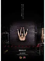 【ベストヒッツ】アイアンクリムゾン10 西田カリナ【アウトレット】
