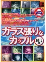 【ベストヒッツ】ガラス張りなカップル 創刊号【アウトレット】