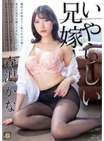 【ベストヒッツ】いやらしい兄嫁 森沢かな【アウトレット】