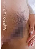 【ベストヒッツ】土手の見える風景【アウトレット】