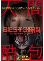 【ベストヒッツ】人間酷包 BEST3時間 友田真希 みづなれい【アウトレット】