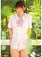 【ベストヒッツ】現役処女ドルAV解禁！！ 板野風香【アウトレット】