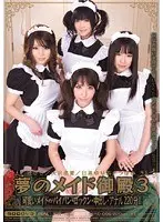 【ベストヒッツ】夢のメイド御殿3【アウトレット】