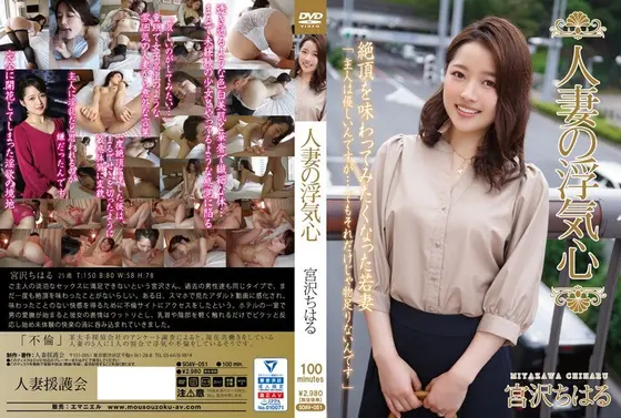 【ベストヒッツ】人妻の浮気心 宮沢ちはる【アウトレット】