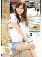 Can College 66 （DOD）