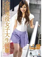 Can College 68 （DOD）