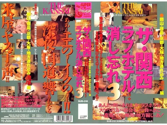 The Kansai Love Hotel I Forgot 3