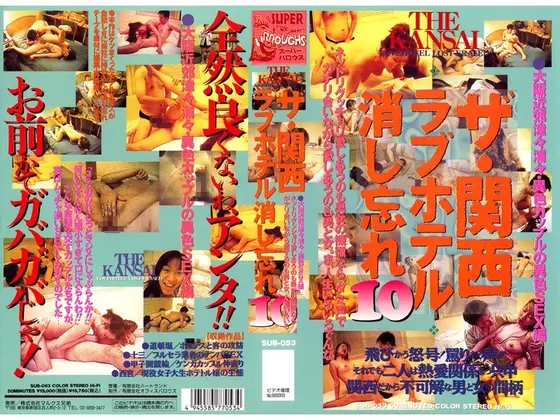 The Kansai Love Hotel I Forgot 10