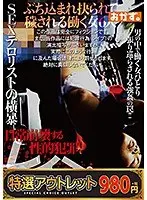 【特選アウトレット】 SEXテロリストの横暴 日常崩壊する性的犯罪 レ●プ 4時間