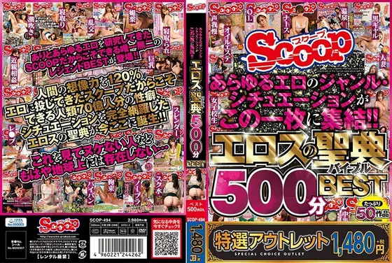 【特選アウトレット】 あらゆるエロのジャンル・シチュエーションがこの一枚に集結！！エロスの聖典（バイブル）500分BEST