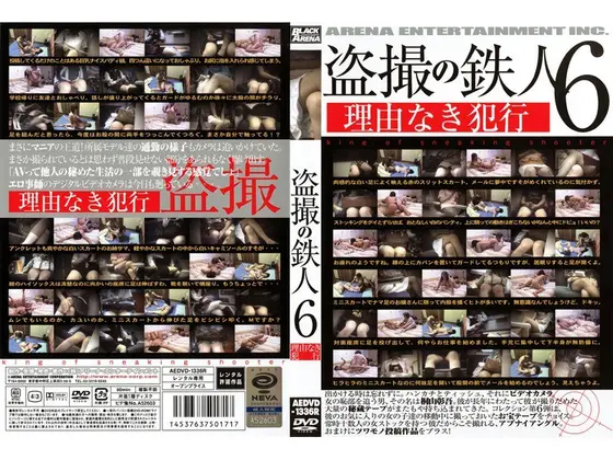 盗撮の鉄人6 理由なき犯行 （DOD）