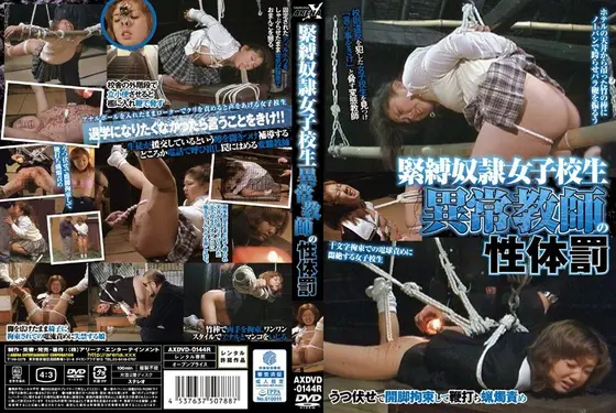 S&M S***e S********l. The Sexual Punishment Of An Abnormal Teacher