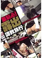 羞恥心！露出調教旅行 （DOD）