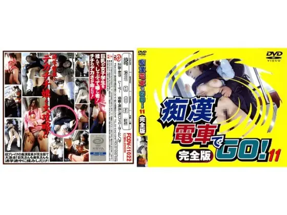 痴●電車でGO！完全版 11