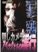Beautiful Hostess I Met on a Trip Mirei Kashiwagi 