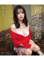 伽の花 河北彩伽 （ブルーレイディスク）