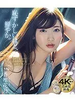 羞恥と汗と汁にまみれて…舐め尽くし本能 接吻痙攣オーガズム 香椎花乃 （ブルーレイディスク）