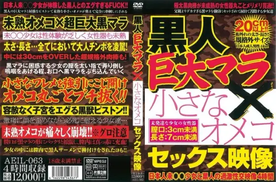 黒人巨大マラ×小さなオメコセックス映像