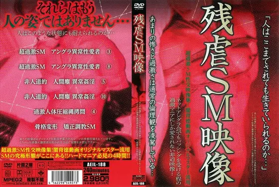 残虐SM映像