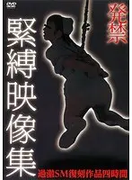 発禁緊縛映像集
