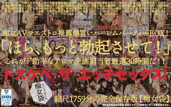 (Mystery Pack) "Hey, Get It Even Harder!" Perverted And Lewd Sex! Slut AV Experts That Come Highly Recommended For This Harem Party Box! Lewd-style Variety Featuring 29 Hours Of Specially Selected Content!
