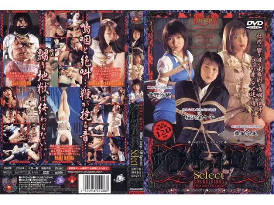 The Next Level Of Bondage Saki Otono Nanako Sakurazawa Nami Maita