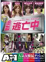逃亡中 浅乃ハルミ AIKA 真木今日子 桜花えり