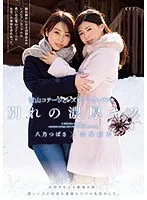 酒池肉林宅配便！こんな，家政婦は見た 事ない。〜いいなり、奴●のフルコース！/岸田ゆり子