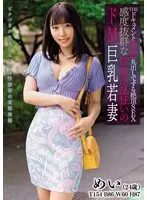 The Private Tutor's Aunt Highlights