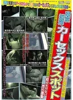 東京近郊 カーセックススポット