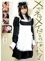 Yes I'm A Maid Who Wears Glasses Can I Help You? Chiaki Kotani