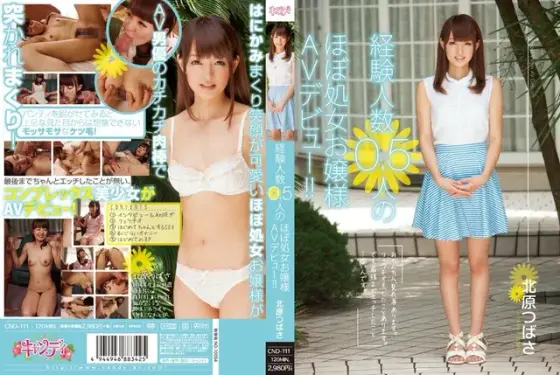 Almost Virgin Princess Makes Her Porn Debut!! Tsubasa Kitahara