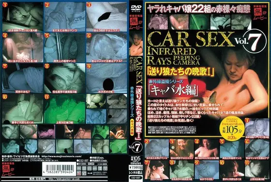「赤外線盗撮シリーズ」Vol.7 CAR SEX